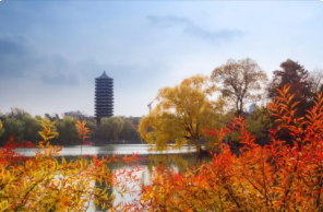 高级研修班的招生条件是什么?