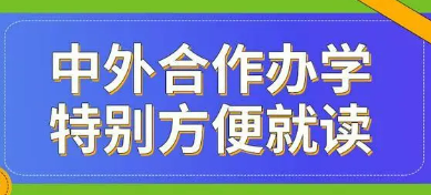 什么是中外合办硕士？