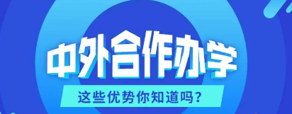 报名中外合作办学硕士院校优势大吗 ？