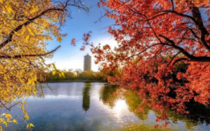 北大总裁班是真的假的?