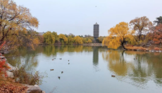 北京大学研修班2023最新动向