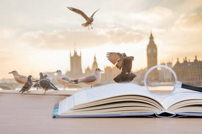 北京心理学研修班价格贵吗