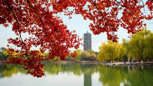 北京大学管理EMBA培训课程怎么样？