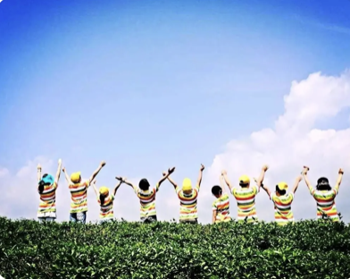 今年清北夏令营啥时间报名？