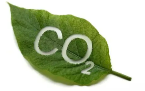 碳排放管理师需要学哪些？