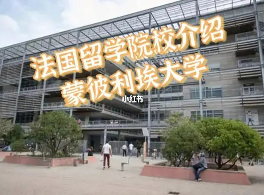 蒙彼利埃大学硕士就业怎么样？