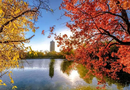 北大工商总裁培训班介绍