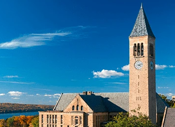 美国奈尔大学排名世界第几名？