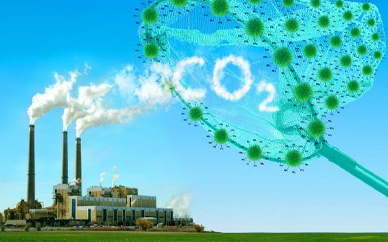 碳排放管理师的主要作用是什么?