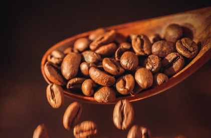 精品咖啡培训费用低吗?