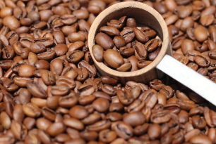 2023精品咖啡学培训好吗？