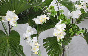 空间花艺师如何培训?