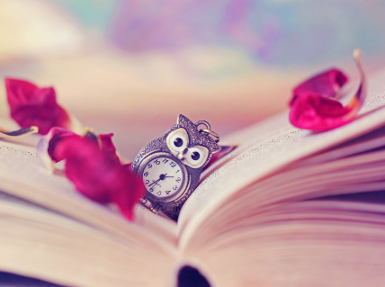 空间花艺软装培训课程内容