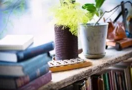 同济大学房地产公司研修班值得报名吗？