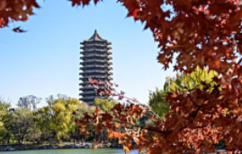 2023北大总裁班有什么专业?