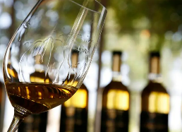 中国酒业研修班——顺应时代变革,开启转型之路