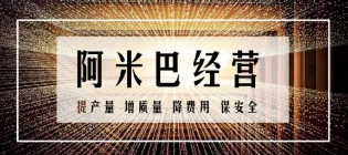 一对一阿米巴培训介绍