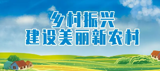 怎样做好乡村振兴业务培训？