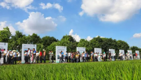 振兴乡村培训班简介