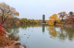 北大MBA研修班报名流程介绍