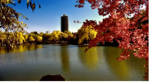 北大高级课程研修班介绍