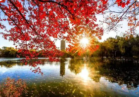 北大高级研修班毕业证书有用吗?