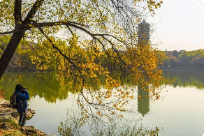 北大国画研修班有哪些？