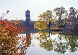 北大汇丰研修班介绍