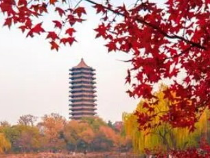 2023北大emba工商管理研修班介绍