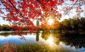 北大emba含金量如何?