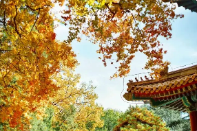 北大emba客座教授介绍