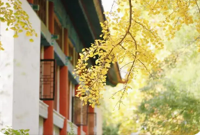 北大EMBA研修班学制多少？