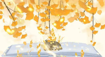 香港亚洲商学院怎么选专业？