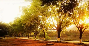 中山大学emba总裁班有用吗?