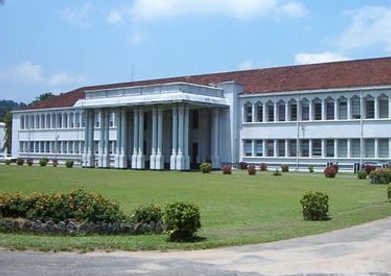 佩拉德尼亚大学收费高吗？