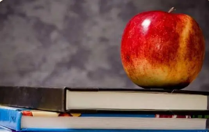 海文考研在职辅导怎么样?