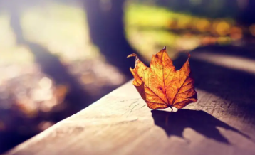 沙丘投研院课程安排