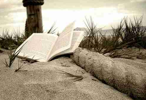 清科集团沙丘学院院长介绍