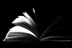 创业投资基础课程学习感悟