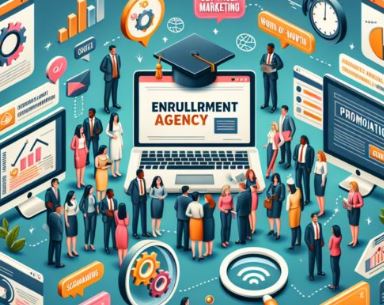 2024年招生代理平台运营模式详解