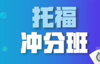 新东方一对一托福培训介绍