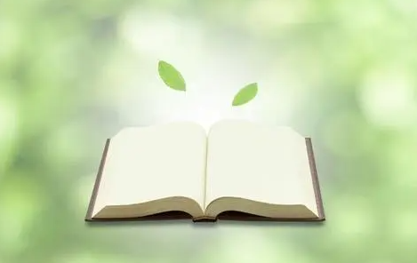 高林商业讲师好吗？