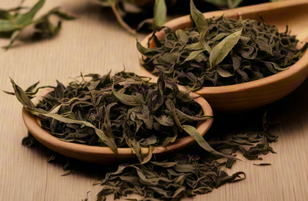 茶学研修院是干嘛的?