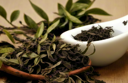 茶业培训机构哪个好?