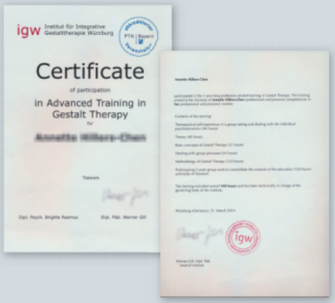 浙江大学中德一格式塔治疗连续培训项目