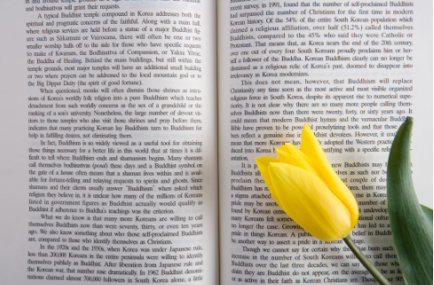 产品陈列设计培训目的是什么?