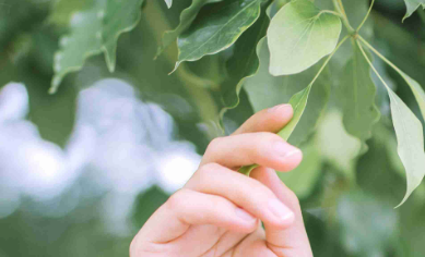 清大环艺设计培训机构口碑咋样?