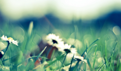 为什么要报名软装艺术设计培训班?