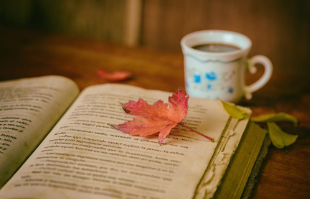 软装培训一般多少钱?