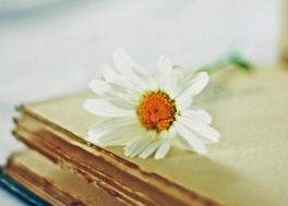 软装陈列师技巧培训内容是什么?